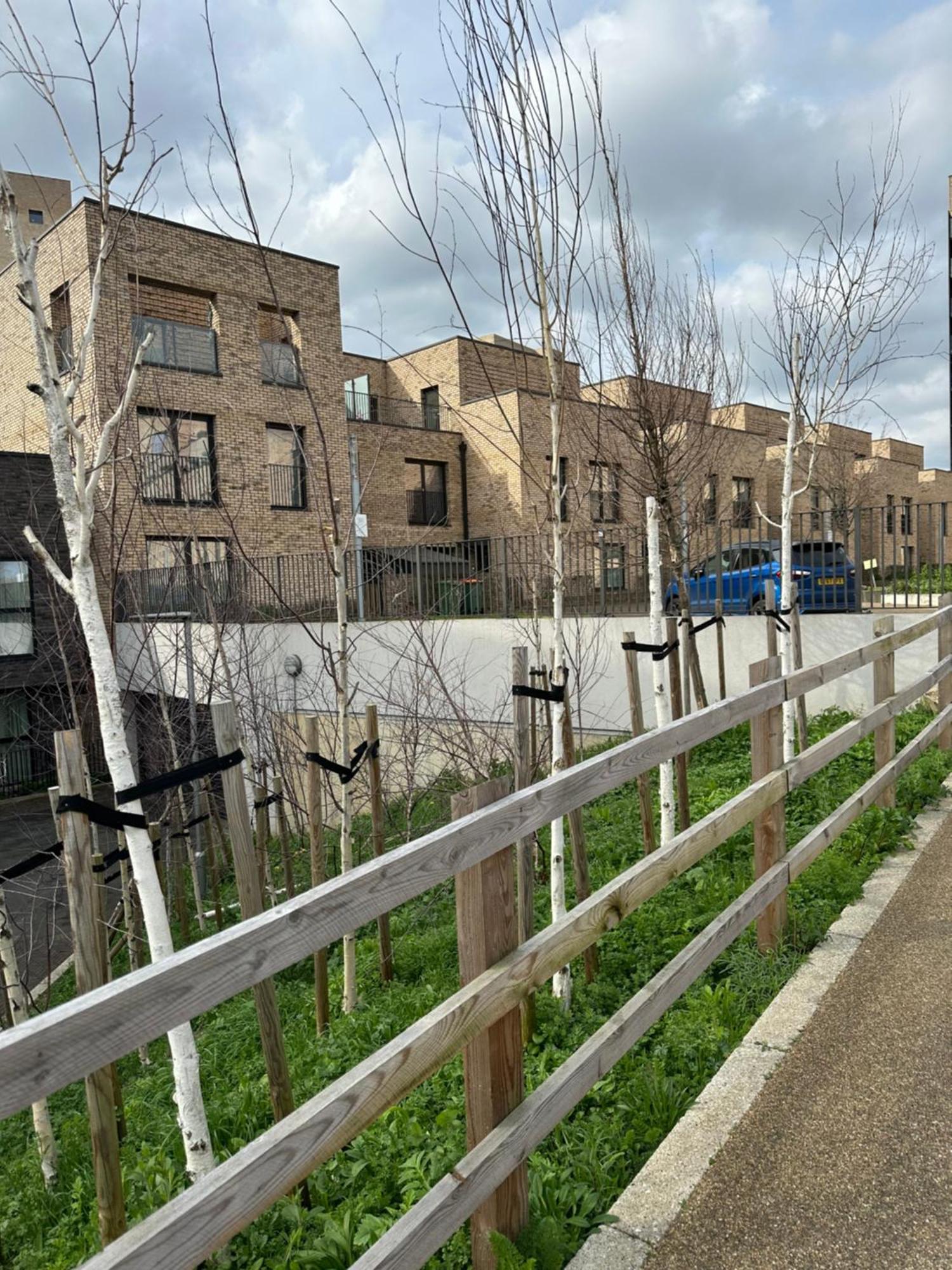 Luxury 3 Bedroom Flat In Stratford, Londra Dış mekan fotoğraf